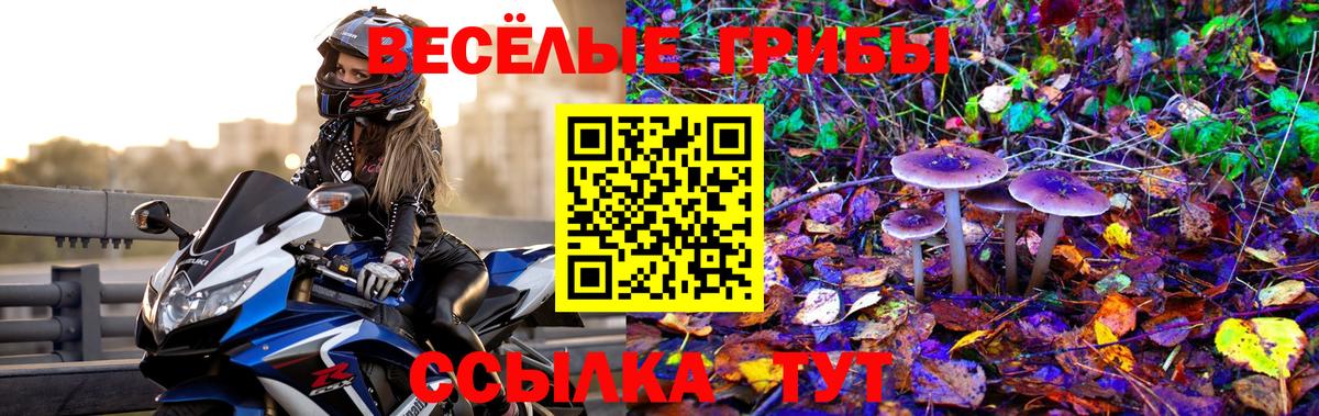 Галлюциногенные грибы Magic Shrooms Кольчугино